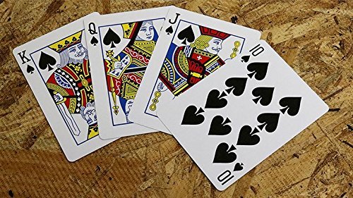 US Playing Cards Bicycle Maiden Back | Red Co | Poker Deck | Collectable