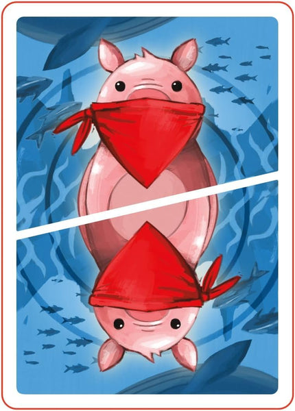 Gamewright - Deduckto - A Quacking Deduction Game - Card Game for Kids Ages 8 and Up - Great for Family Game Night!