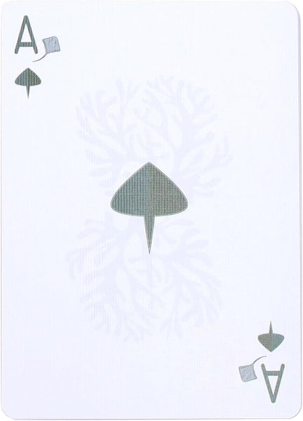 Stingray Bicycle Playing Cards
