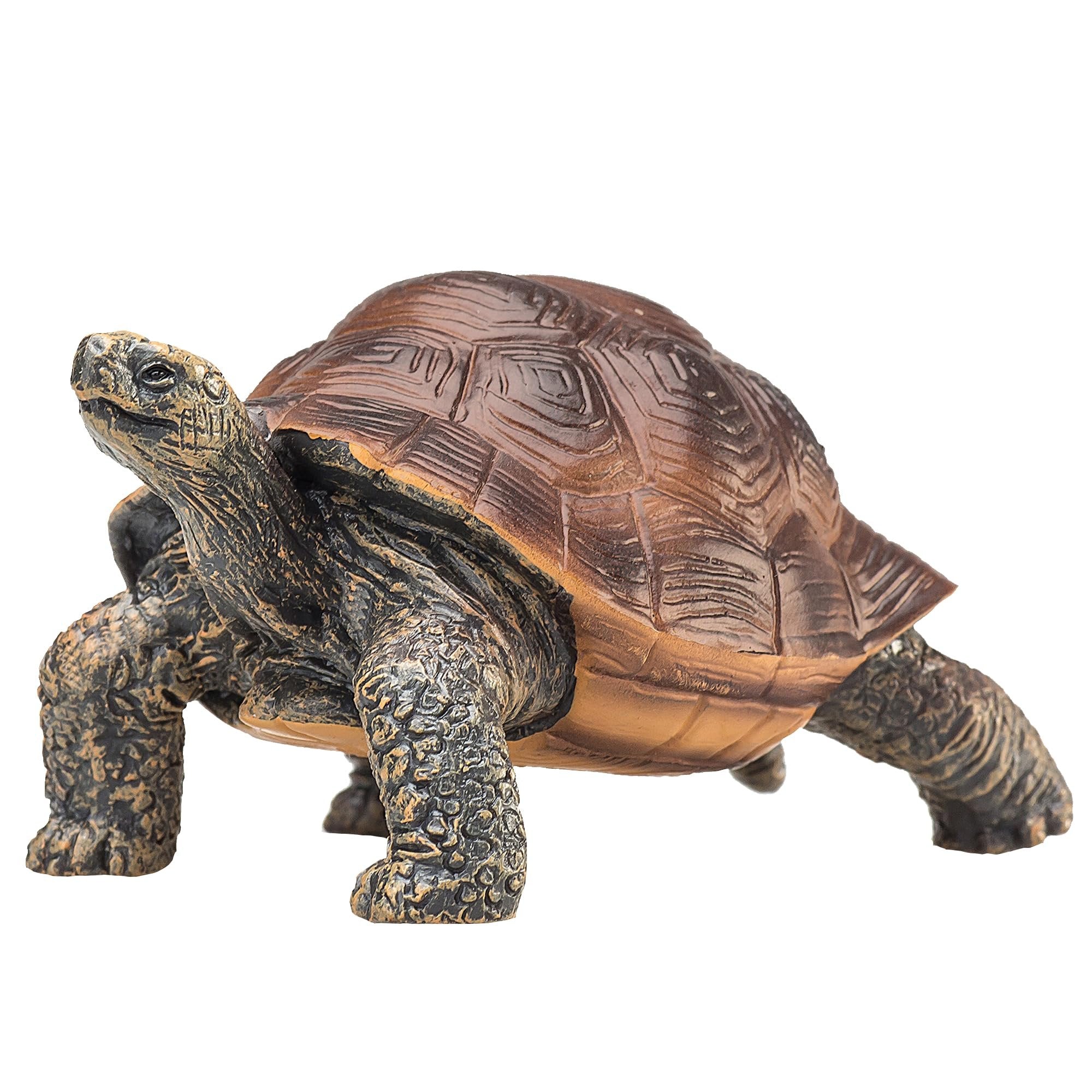 MOJO Giant Turtle Realistic International Wildlife Toy Replica Hand Painted Figurine (387259)