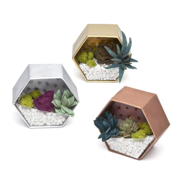 Craft Crush — Mini Plants Terrariums Easy Fun Arts and Craft Kit — Make 3 Charming Faux Terrariums! — For Ages 13 and Up