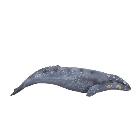 MOJO Large Grey Whale Realistic International Wildlife Toy Replica Hand Painted Figurine (387280)