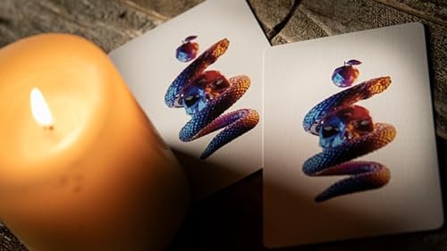 Murphy's Magic Supplies, Inc. Memento Mori Genesis Playing Cards