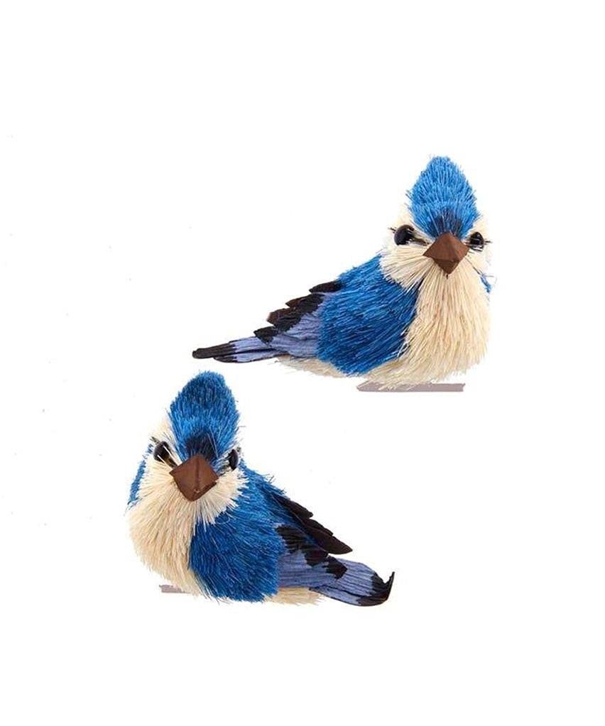 Kurt S. Adler Blue Jay With Clip Ornaments, 2 Assorted